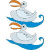 pair of seagulls