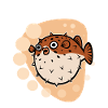 Buffering... Puffer fish sea