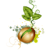 tender germinates in the soil