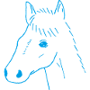 Horse Head Drawing