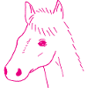 Dessin de tête de cheval