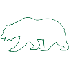 Bear Brown Bear Polar Bear
