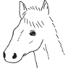Horse Drawing