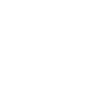 Playing Fencing