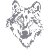 Wolf Sketch