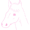 Horse Drawing