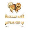 Pomeranian Dog