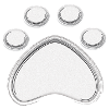 Animal paw