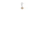 Blume in Vase