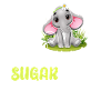 Elefant Zuckersüss Spruch Mädchen Babyspruch