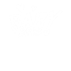 Grossesse Bébé enceinte 2023