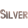 Silver Stylized Text