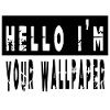 computer quote internet hacking engineer