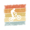 Mountain Bike Retro