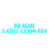 Braque Saint-Germain
