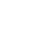 Cairnoodle