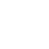 Catalan Sheepdog