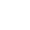 Cesky Fousek