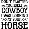 Don’t Flatter Yourself Cowboy