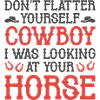 Don’t Flatter Yourself Cowboy