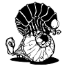 Scary beetle
