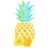 Fleurs d’ananas et d’hibiscus
