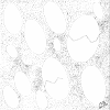 Dozen Hatching