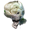 Crâne Rose