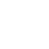 Flightless Penguin South Pole Peace