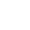 Evolution Maler