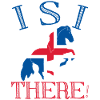 Islandpferd Islandpferde Isländer