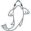Single koi swimming fish