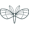 moth with cute stunning wings