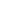 Wild Bears