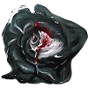 Schwarze Rose