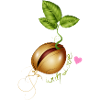 germinating - gardening with love