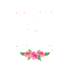 Hawaii