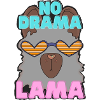 NO DRAMA LAMA