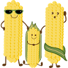 Drôle de famille de maïs