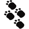 Animal paws