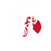 KOI WAVE