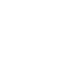 Skull Icon