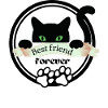 Katze