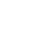 DUCKS AREN'T REAL