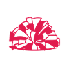 Cheer Mom