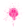 Cicada Colourful