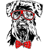 Funny SCHNAUZER Glasses Dog Dog
