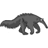 Anteater