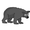 Bear 1