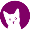 Cat in pink circle